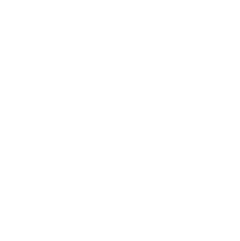 image icon