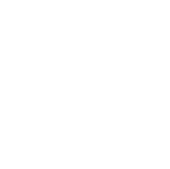image icon