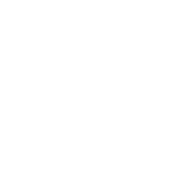 image icon