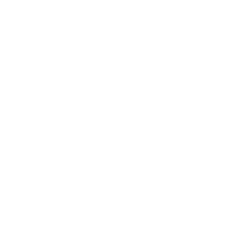 image icon