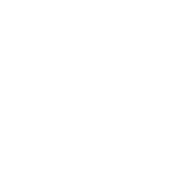 image icon