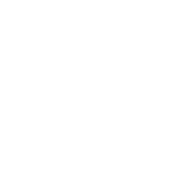 image icon