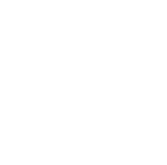 image icon