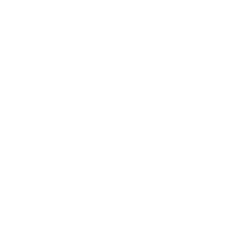 image icon