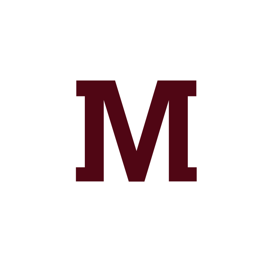 image icon